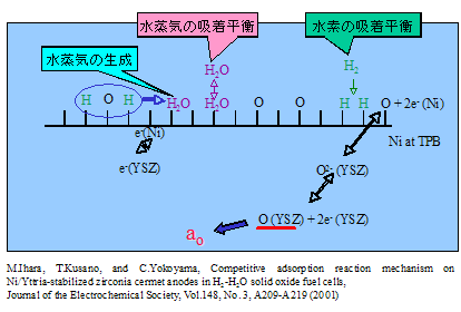 固体酸化物燃料電池の燃料極反応機構の検討