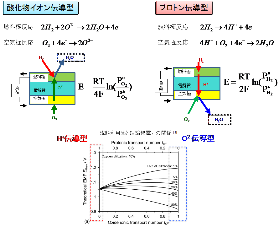 酸化物イオン伝導型とプロトン伝導型の比較