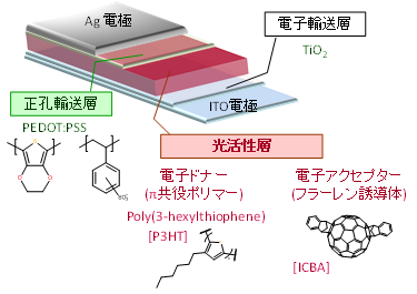 有機薄膜太陽電池の概念図