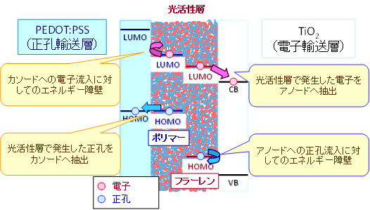 正孔・電子輸送層の役割